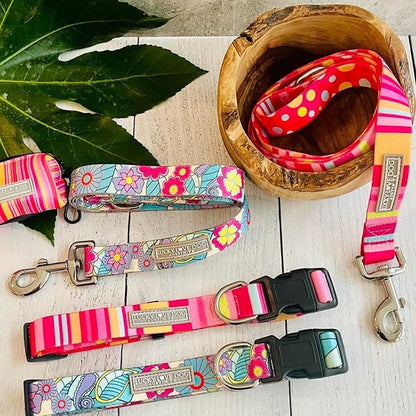 Lucky Love Dog, Colorful Stripes Dog Collar, Yellow, Pink, Blue Color Dog Collar, Cute Dog Collar for Girl Dogs - (Medium, Molly Collar) LuckyLoveDog