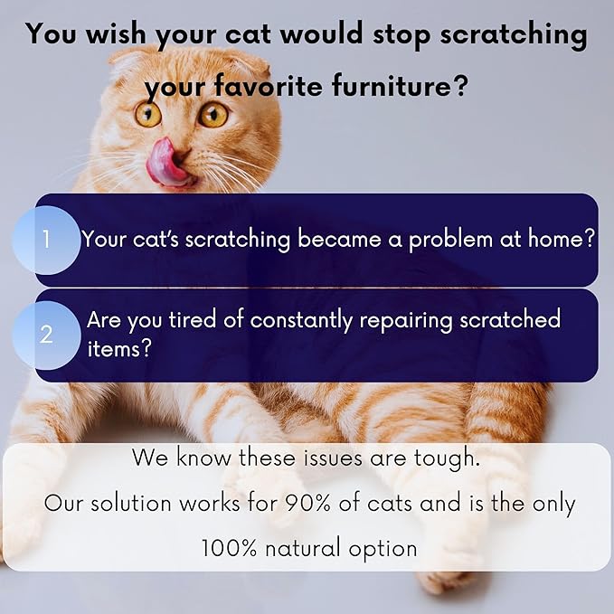 Anti Cat Scratch Calming Collar, Natural Cat Repellent, Keep Cats from Clawing Furniture, Stress Relief, Breakaway, Vet-Approved with Essential Oils (Geranium) ROLLERPAWSTER