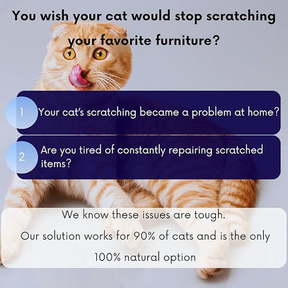 Anti Cat Scratch Calming Collar, Natural Cat Repellent, Keep Cats from Clawing Furniture, Stress Relief, Breakaway, Vet-Approved with Essential Oils (Geranium) ROLLERPAWSTER