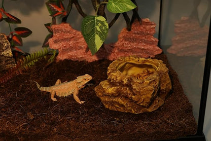 AQUA KT Reptile Natural Coconut Fiber Substrate Bedding Coco Coir Brick for Lizard Hermit Crab Snake Frog Spider Gecko Terrarium Bedding AQUAKT