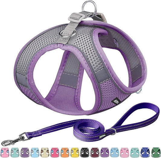 AIITLE Comfortable Dog Harness and Leash Set for Walking - Spring Step in Vest Harness,Reflective Bands, Adjustable No Pull Puppy Essentials, for Small Dogs and House Cats Purple XS AIITLE-FORPETSBETTERLIFE