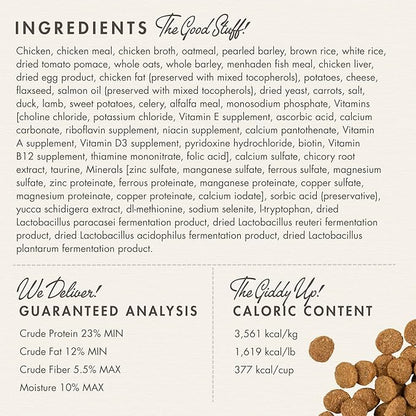 Fromm Gold Large Breed Adult Dry Dog Food, 5-Pound Bag - PAWPICO