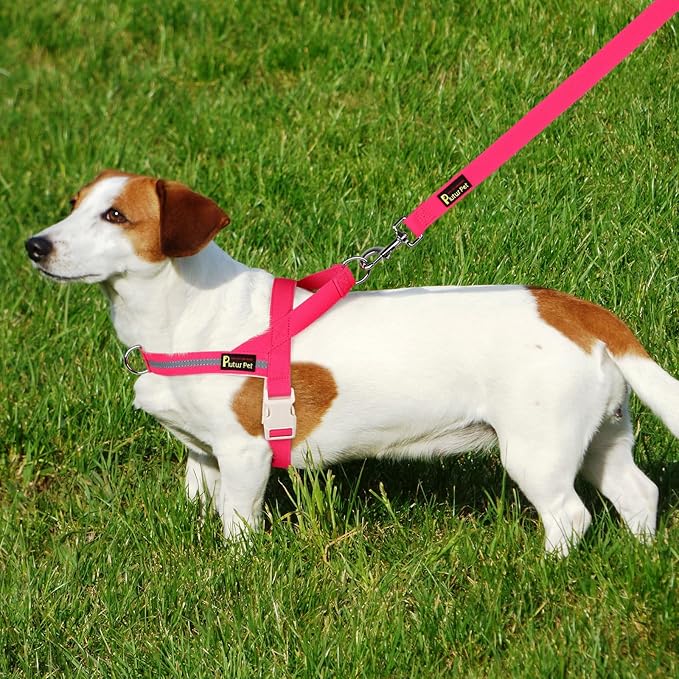 Plutus Pet Cotton Dog Harness and Leash Set, Reflective and Soft Padded, Quick Fit Vest Harness, for Small, Medium and Large Dogs, Hot Pink, XXS - PAWPICO