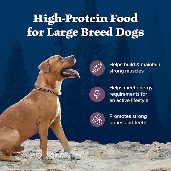 Blue Buffalo Wilderness Rocky Mountain Recipe Natural High-Protein Dry Food for Large Breed Dogs, Bison & Grain, 28-lb bag - PAWPICO
