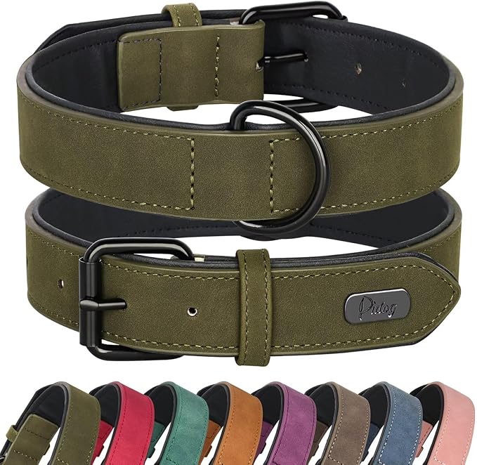 Didog Soft Padded Leather Dog Collar, Breathable Heavy Duty Dog Collar Leather with Adjustable Rust-Proof Metal Buckle for Small Medium Large Dogs, Dark Green, L Didog