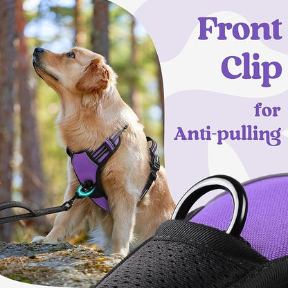 rabbitgoo Dog Harness Medium Sized, No Pull Pet Harness with 3 Buckles, Adjustable Soft Padded Pooch Vest with Instant Control Handle, Easy Walking Reflective Pet Vest for Medium Dogs, Purple, M - PAWPICO