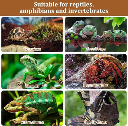 Riare 4LBS Expanded Clay Balls Terrarium Substrate for Reptiles - 100% Organic Lightweight Clay Pebbles Substrate Frogs False Bottom Substrate, Bioactive Terrarium Substrate for Drainage and Moisture Riare