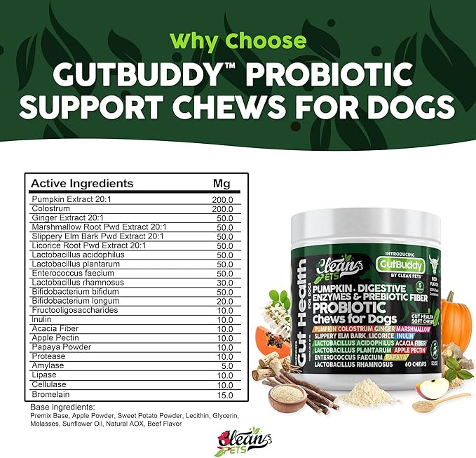 Probiotics for Dogs | Pumpkin Dog Probiotic Gut Health Diarrhea & Bowel Support | Colostrum, Digestive Enzymes, Ginger, Slippery Elm, Licorice, Inulin Fiber | Dog Supplement by Clean Pets - 1Pack CleanPets