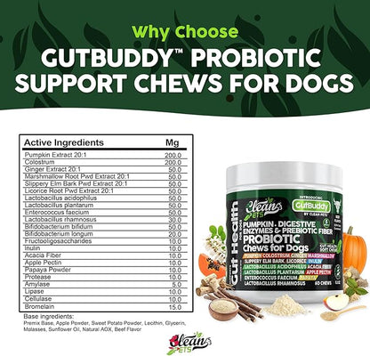 Probiotics for Dogs | Pumpkin Dog Probiotic Gut Health Diarrhea & Bowel Support | Colostrum, Digestive Enzymes, Ginger, Slippery Elm, Licorice, Inulin Fiber | Dog Supplement by Clean Pets - 1Pack CleanPets