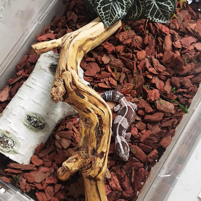 BNOSDM Reptile Cork Bark Substrate Bedding Tortoise Natural Cork Wood Chips Reptile Breeding Bedding Habitat Decor for Ball Python Lizard Snake Spiders Geckos Bearded Dragons Hermit Crabs （0.99LB） BNOSDM