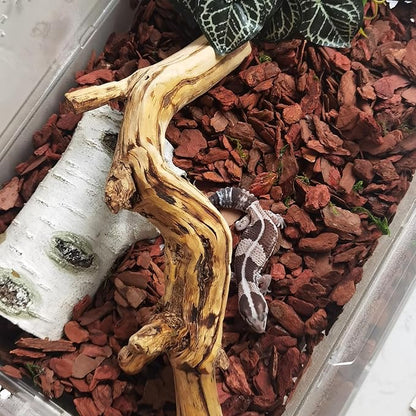 BNOSDM Reptile Cork Bark Substrate Bedding Tortoise Natural Cork Wood Chips Reptile Breeding Bedding Habitat Decor for Ball Python Lizard Snake Spiders Geckos Bearded Dragons Hermit Crabs （0.99LB） BNOSDM