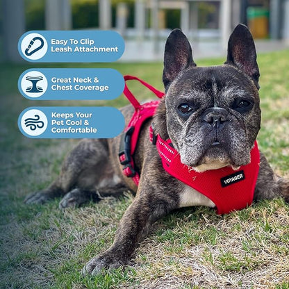 Best Pet Supplies Voyager Adjustable Dog Harness Leash Set with Reflective Stripes for Walking Heavy-Duty Full Body No Pull Vest with Leash D-Ring, Breathable All-Weather - Harness (Red), M BestPetSuppliesLLC