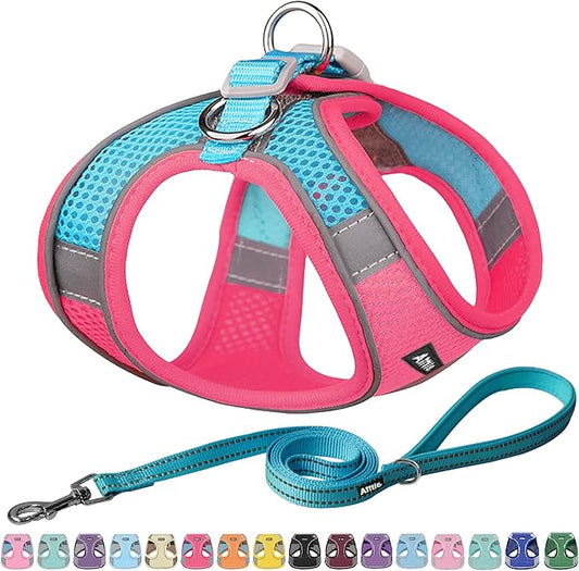AIITLE Small Harness for Puppy with A Leash - Spring Dog Vest Harness with Super Breathable Mesh, Reflective No-Pull Pet Harness for Outdoor Walking, Camping for Small Dogs, Cats Hot Pink XXS AIITLE-FORPETSBETTERLIFE
