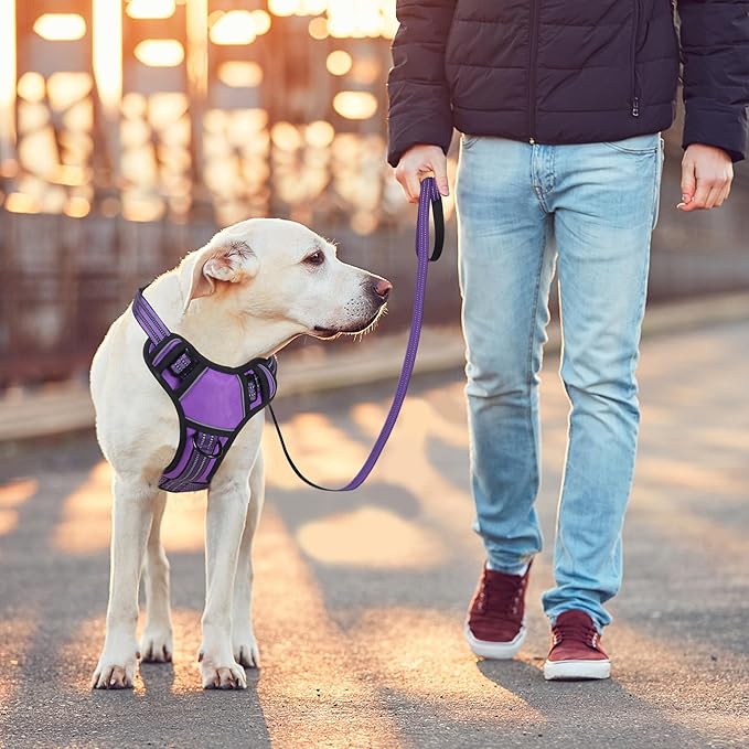 BUMBIN Dog Harness for Large Dogs, No Pull Adjustable No Choke Pet Vest with Dog Leash Fit Smart Reflective Pet Walking Harness for Training Easy Control Soft Handle Purple S BUMBIN