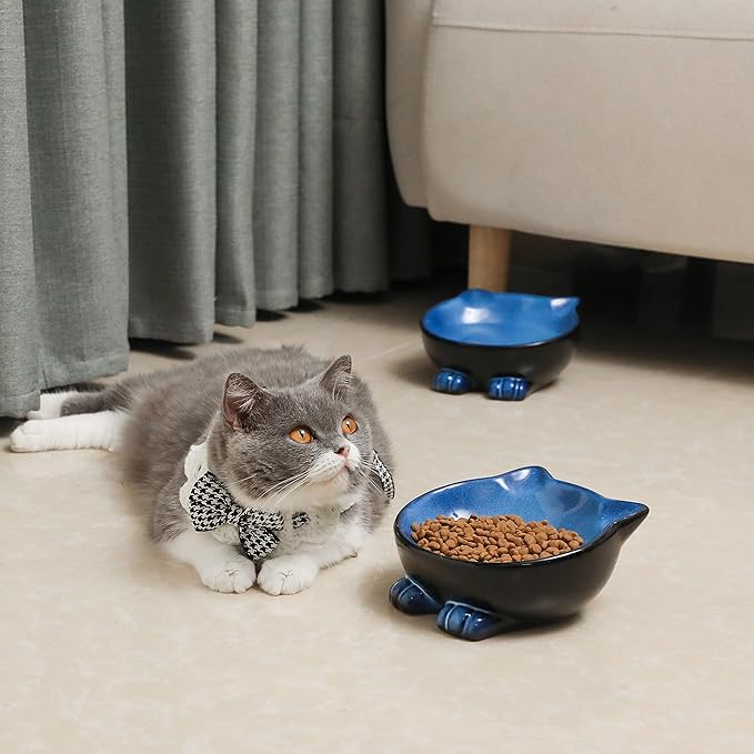 Nihow Ceramic Basic Cat Bowls: 6.25 Inch Cat Bowl for Food & Water - Food Grade Cat Dish for Large-Sized Cat/Medium-Sized Dog - Microwave & Dishwasher Safe -Elegant Blue & Black (8.5 OZ /1 PC) - PAWPICO