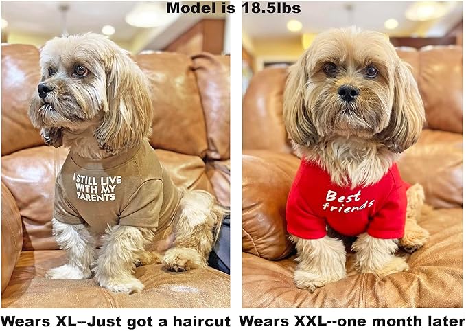 Cute Dog Clothes,Dog T Shirt for Medium Dogs.Dog Clothes for Small Dogs Girl Boy,Puppy.Breathable Soft Dog Costume Pet Dogs Cats,Pet Pullover Jumper,Cat Clothes (XL-(16~20lb), Chest~20", Red, Parents) - PAWPICO