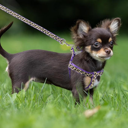 Mile High Life Leopard Dog Harness Collar Leash Set | Adjustable No Pull Dog Halter Harness for Small Breed Dogs | Easy Control for Training Walking | Purple, Medium - PAWPICO