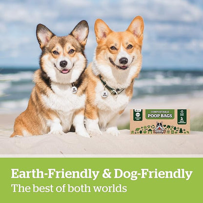 Pogi's Compostable Dog Poop Bags with Handles - 120 Doggie Poop Bags with Easy-Tie Handles - Leak-Proof Dog Waste Bags, Plant-Based, ASTM D6400, EN 13432 Certified Extra Large Poop Bags for Dogs - PAWPICO