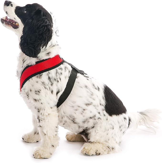 Gooby Comfort X Head In Harness - Red, X-Large - No Pull Small Dog Harness, Patented Choke-Free X Frame - Perfect on the Go Dog Harness for Medium Dogs No Pull or Small Dogs for Indoor and Outdoor Use Gooby