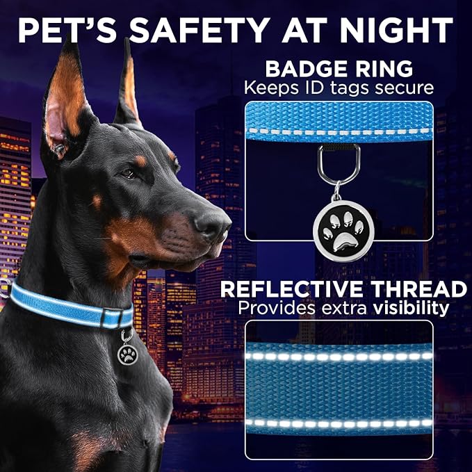TECEUM Reflective Pet Collar – Sky Blue – S – Basic Nylon Dog Collar – Quick Release Buckle – Fits Small, Medium and Large Dogs, Puppies, Cats – ESA & Service Dog Options TECEUM