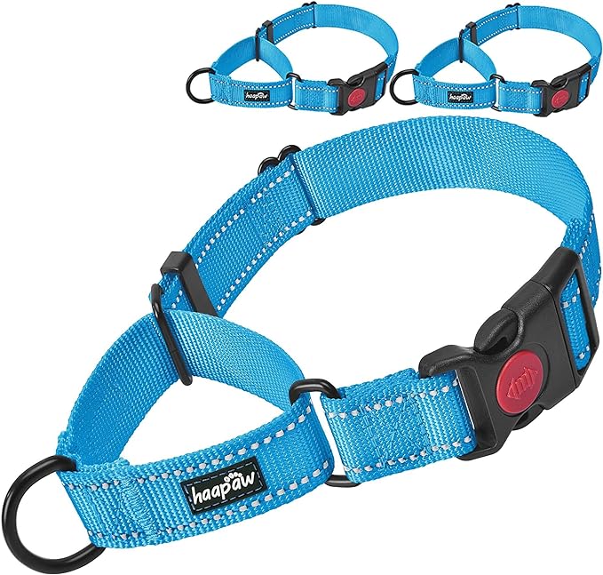haapaw 2 Packs Martingale Dog Collar with Quick Release Buckle Reflective Dog Training Collars for Small Medium Large Dogs haapaw