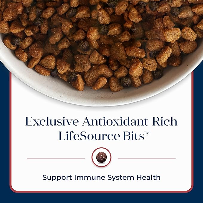 Blue Buffalo Basics Adult Dry Dog Food for Skin & Stomach Care, Limited Ingredient Diet, Made in the USA with Natural Ingredients, Salmon & Potato Recipe, 11-lb. Bag - PAWPICO