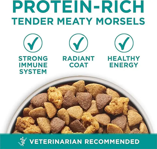 Purina One Plus Digestive Health Formula Dry Dog Food Natural with Added Vitamins, Minerals and Nutrients - 31.1 Lb. Bag - PAWPICO