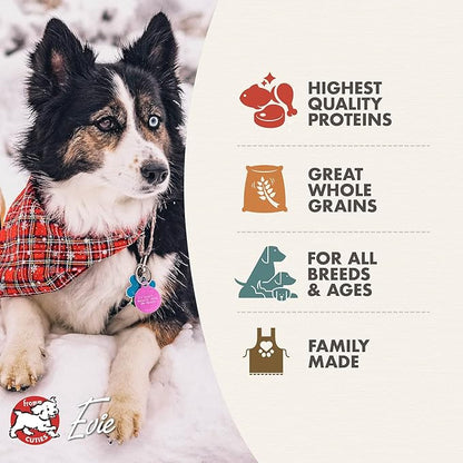 Fromm Four-Star Nutritionals Rancherosa Dog Food - Premium Dry Dog Food - Beef Recipe - 4 lb - PAWPICO