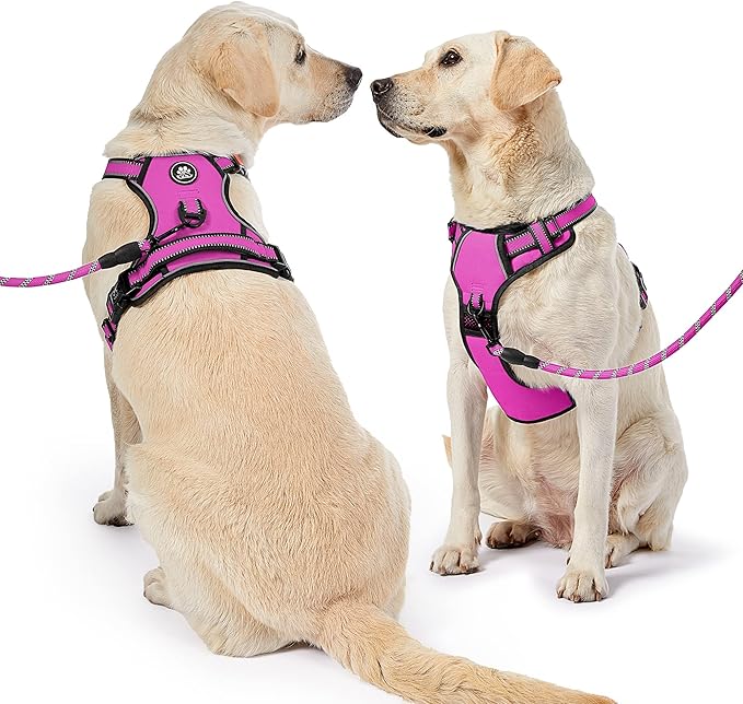 NESTROAD No Pull Dog Harness,Adjustable Oxford Dog Vest Harness with Leash,Reflective No-Choke Pet Harness with Easy Control Soft Handle for Large Dogs(Large,Fuchsia Pink) NESTROAD