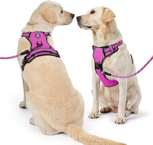 NESTROAD No Pull Dog Harness,Adjustable Oxford Dog Vest Harness with Leash,Reflective No-Choke Pet Harness with Easy Control Soft Handle for Small Dogs(Small,Fuchsia Pink) NESTROAD