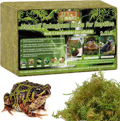 Halatool 2.2LB Natural Sphagnum Moss for Reptiles- 50QT Green Live Moss for Terrarium Plants Long Fiber Reptile Moss for Leopard Gecko Snake Hamsters Tortoises Frogs Lizards Salamanders HALATOOL