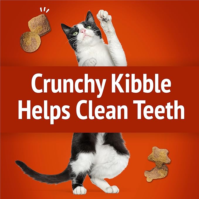 Purina Friskies Cat Treats, Party Mix Gravy-licious Crunch Chicken and Gravy Flavors - 20 oz. Pouch PurinaTreats