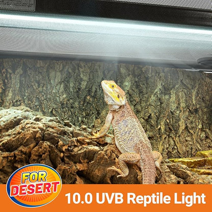 Oiibo T5 HO Reptile Light Fixture UVB Lighting Combo Kit, Reptiles Terrarium Lamp Hood Light Fixture Include UVB 10.0 Desert Reptile Light for Bearded Dragon Gecko Lizard (8W) OIIBO