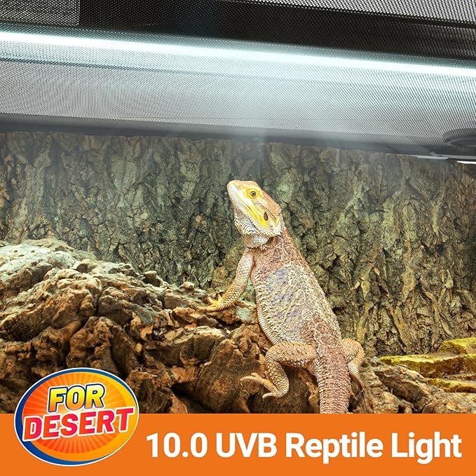 Oiibo T5 HO Reptile Light Fixture UVB Lighting Combo Kit, Reptiles Terrarium Lamp Hood Light Fixture Include UVB 10.0 Desert Reptile Light for Bearded Dragon Gecko Lizard (24W) OIIBO