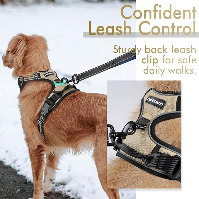 rabbitgoo Dog Harness, No-Pull Pet Harness with 2 Leash Clips, Adjustable Soft Padded Dog Vest, Reflective No-Choke Pet Oxford Vest with Easy Control Handle for Medium Dogs, Beige, M - PAWPICO