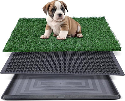 Artificial Grass for Dog Potty – 16x20 inch,Strong Absorbency Grass Pad, Dog Grass Pad with Tray, Dog Potty Training Pad, Dog Litter Box with Grass (Small) - PAWPICO