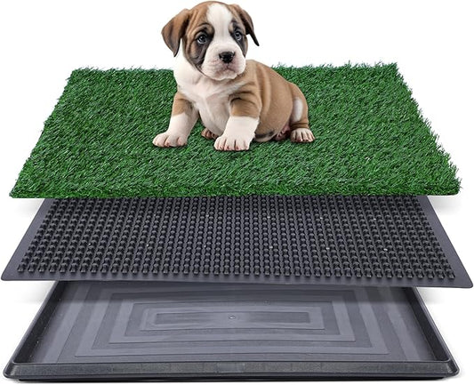 Artificial Grass for Dog Potty – 16x20 inch,Strong Absorbency Grass Pad, Dog Grass Pad with Tray, Dog Potty Training Pad, Dog Litter Box with Grass (Small) - PAWPICO