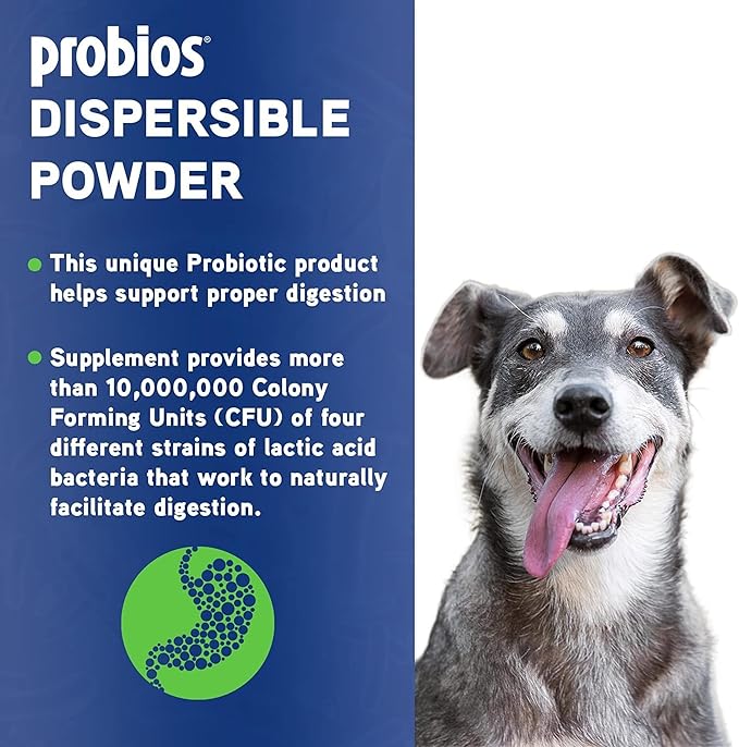 Probios Dispersable Powder - Probios Powder, Pet Probiotic, Probiotics for Swine, Equine, Sheep, Goat, Dog, Cat, Bird, Rabbit, Foals (240 gm) Probios