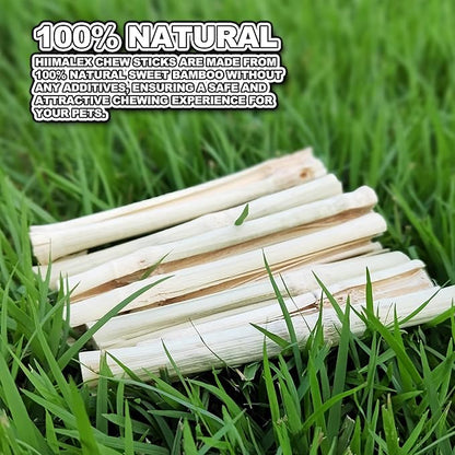 HIIMALEX Bunny Snacks 300g/10oz. Sweet Bamboo Molar Chew Treat Sticks for Rabbits Guinea Pigs Hamsters Small Animal MakeTheKingdomforYourBunnies