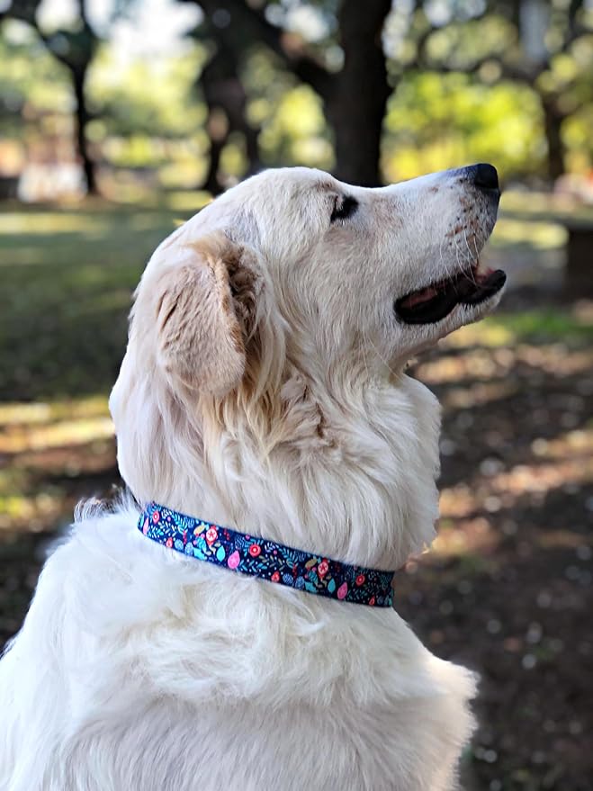 Lucky Love Dog, Blue Winter Pinecones Dog Collar and Leash Set, Vivid Winter Ornaments Dog Collar and Leash for Girl or Boy Dogs - (Medium, SweetHoliday Combo) LuckyLoveDog