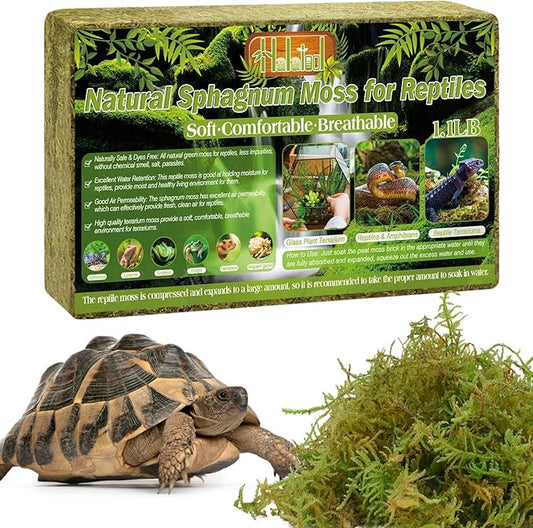 Halatool 1.1LB Natural Sphagnum Moss for Reptiles- 25QT Green Live Moss for Terrarium Plants Long Fiber Reptile Moss for Leopard Gecko Snake Hamsters Tortoises Frogs Lizards Salamanders HALATOOL