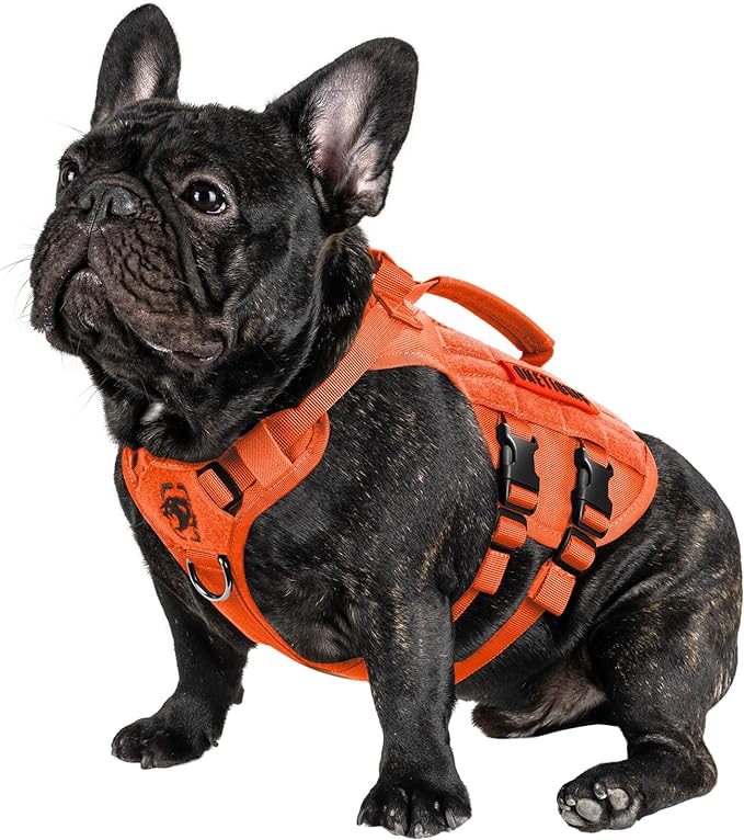OneTigris Tactical Dog Harness for Small Dog, No Pull Small Dog Vest Harness Breathable Military Dog Molle Vests with Handles, Harness for Walking Hiking Training (Orange, XS) OneTigris
