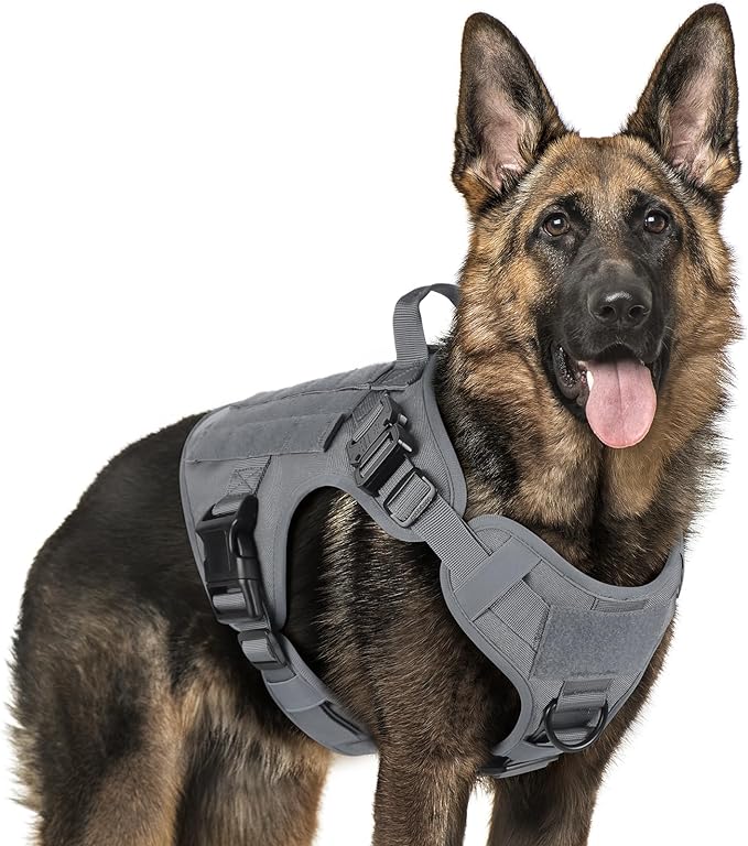 rabbitgoo Tactical Dog Harness for Large Dogs, Heavy Duty Dog Harness with Handle, No-Pull Service Dog Vest Large Breed, Adjustable Military Dog Vest Harness for Training Hunting Walking, Grey, L rabbitgoo