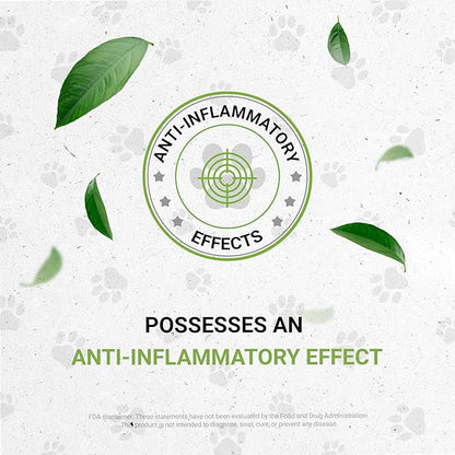 Lion's Blood Pressure | Natural Herbal Dietary Supplement for Cats | Healthy Blood Pressure Support in Cats | Alcohol-Free Extract, Hawthorn, Buchu, Garlic, Celery 2 oz SecretsOfTheTribe