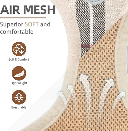 PUPTECK Adjustable Pet Harness Collar &Leash Set Step in for Small Dogs Puppy &Cats Outdoor Training &Running, Soft Mesh Padded Reflective Vest Harness,M: Chest girth: 16-18in Collar: 11.8-15.7in PUPTECK