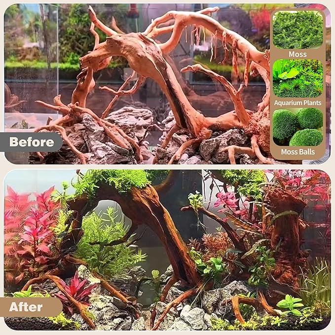 WDEFUN Natural Spiderwood for Aquarium Decor 3-Piece 7''-11'' Long Natural Driftwood Branches for Fish Tank Decorations WDEFUN