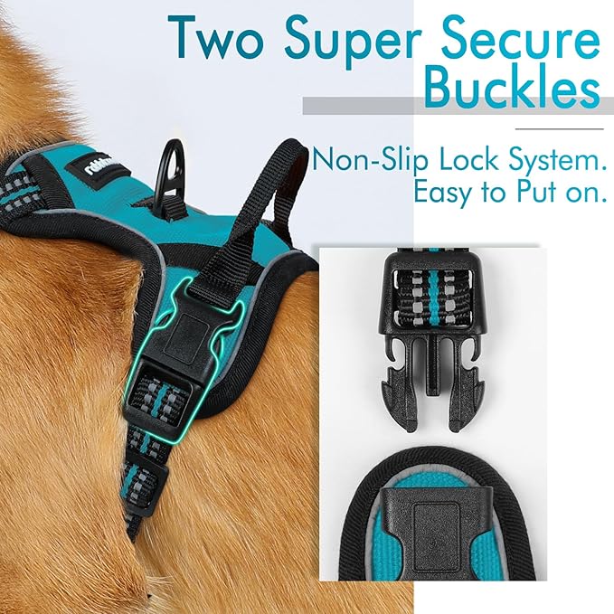 rabbitgoo Dog Harness, No-Pull Pet Harness with 2 Leash Clips, Adjustable Soft Padded Dog Vest, Reflective No-Choke Pet Oxford Vest with Easy Control Handle for Large Dogs, Teal, X-Small - PAWPICO