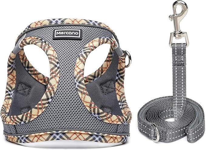 Mercano Soft Mesh Dog Harness and Leash Set, No-Chock Step-in Reflective Breathable Lightweight Easy Walk Escape Proof Vest Harnesses with Safety Buckle for Small Medium Dogs, Cats (Grey, XS) PAWPICO