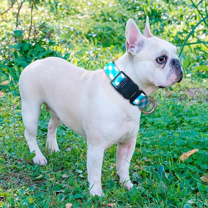 Reflective Dog Collar Padded with Soft Neoprene Breathable Adjustable Nylon Dog Collars for Small Medium Large Dogs (X-Small (Pack of 1), Vivid Blue Plaid Collar+Leash) ladoogo