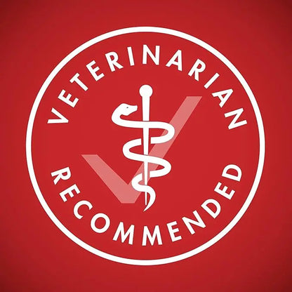 Purina ONE Dry Dog Food Lamb and Rice Formula - (Pack of 4) 4 lb. Bags - PAWPICO